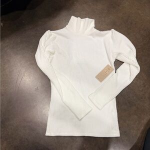 Albion Fit Turtleneck Sweater